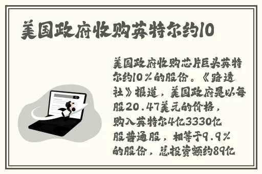 激战2野外传护外观